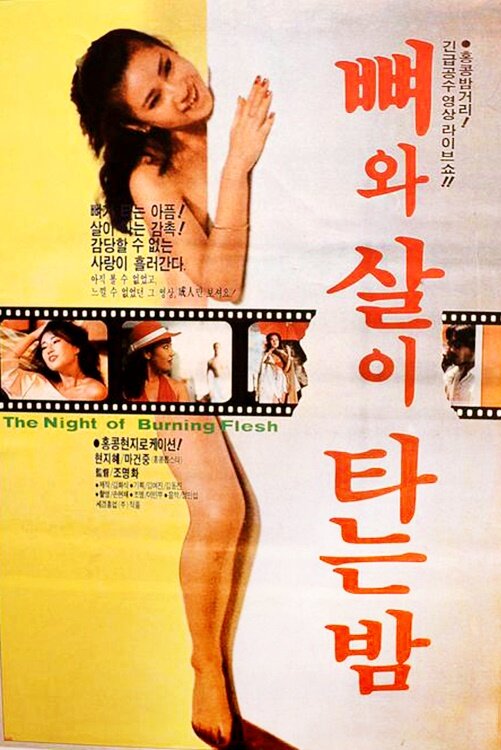 Zai shi feng liu jie (1985)