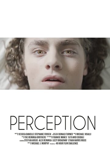 Perception (2017)