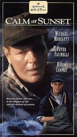 После бури (1996)