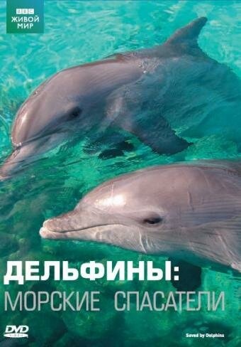 Дельфины: Морские спасатели (2008)