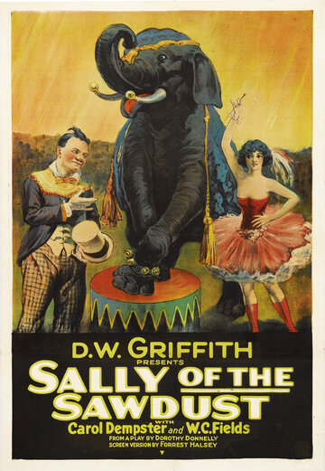 Салли из опилок (1925)
