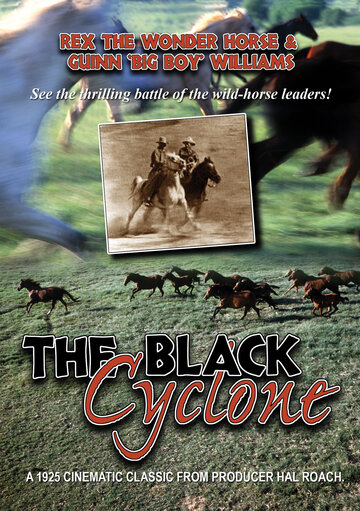 Чёрный циклон (1925)